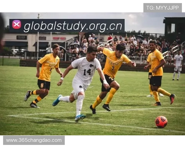✅体育直播🏆世界杯直播🏀NBA直播⚽- 突发！英国威尔士发生列车相撞事故 致1死15伤- sports